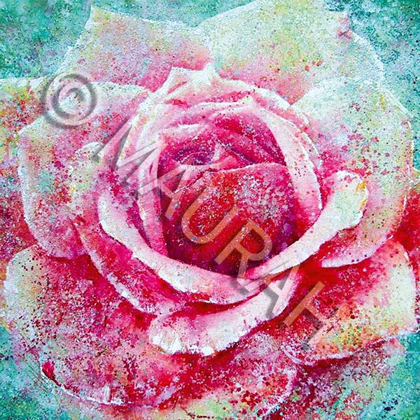 Postkarte A56 : Rose persane